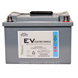 DGY 12-65EV (12V 65Ah)